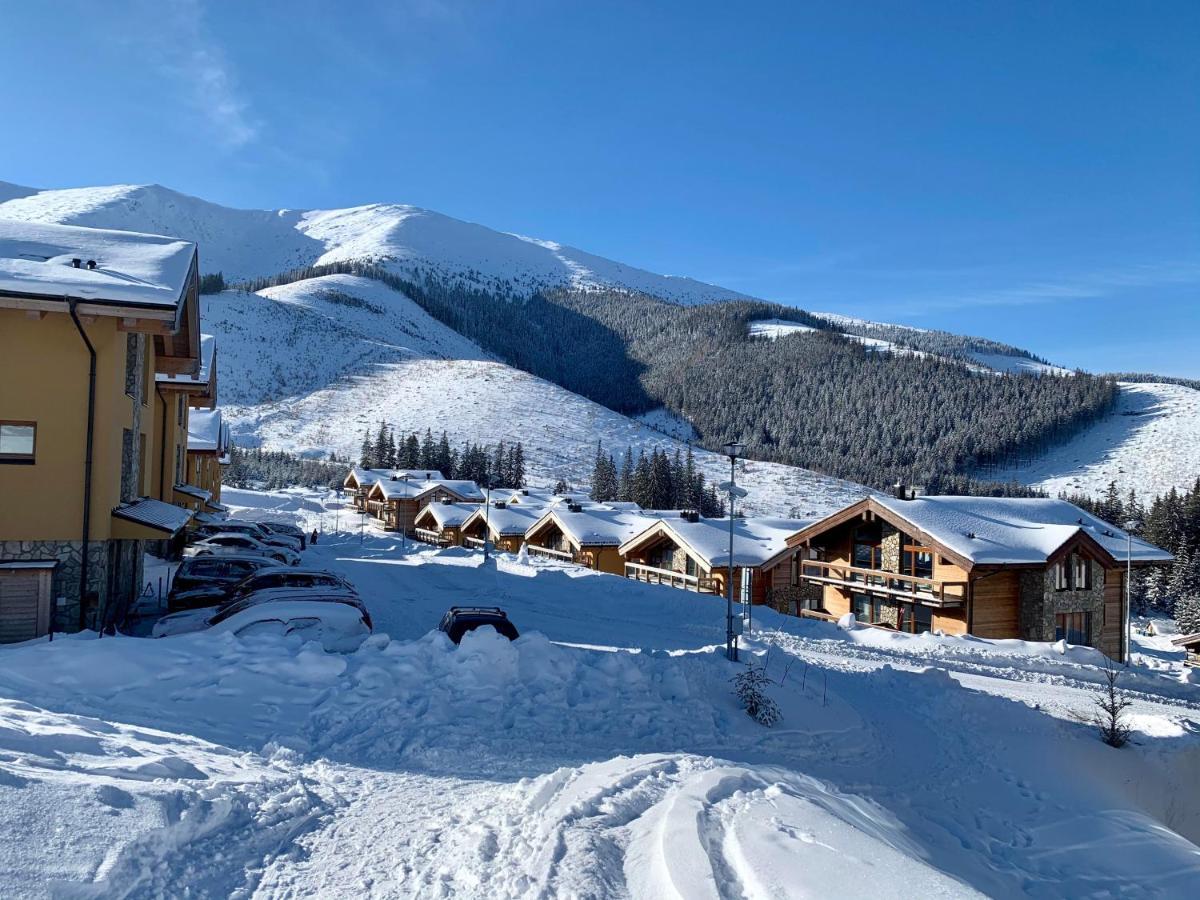Apartman - Chalet Demaenovka Демяновская долина Экстерьер фото